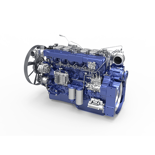 WP12